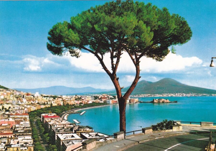 From Rome: Full Day Pompeii and Naples Tour