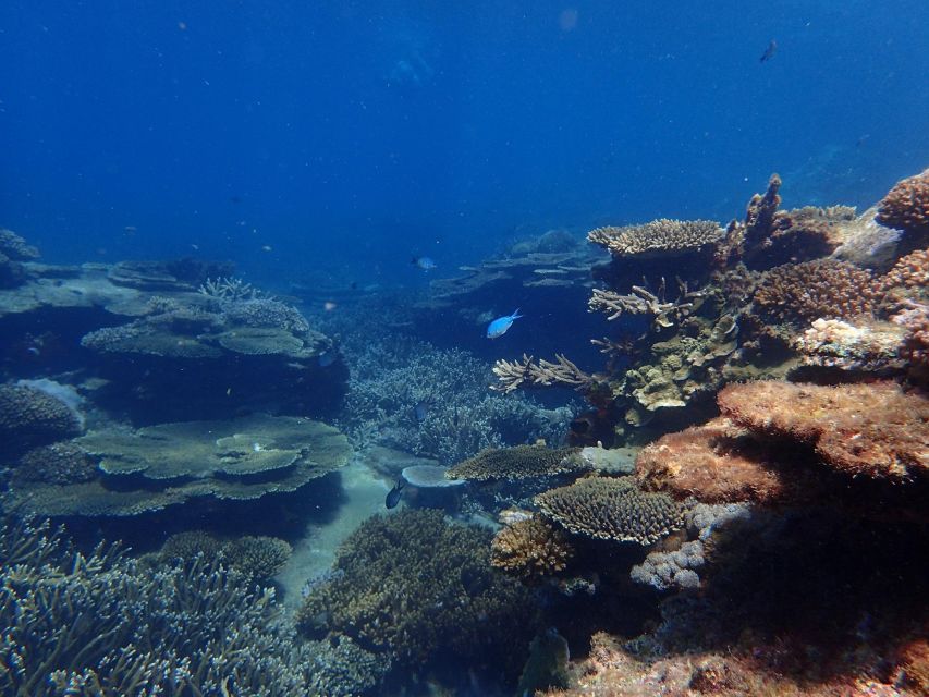 From Rosslyn: Great Keppel Island Adventure Tour With Lunch