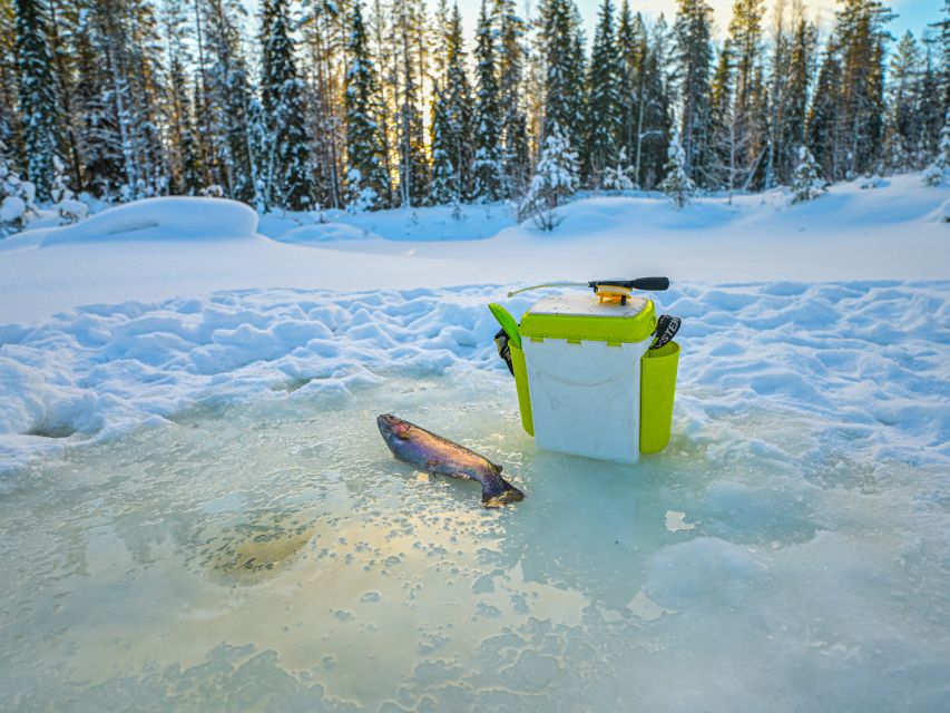 From Rovaniemi: Husky Safari and Salmon Ice Fishing - Experience Highlights