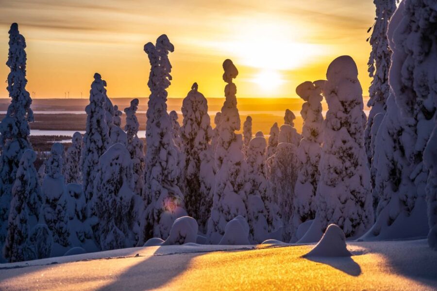 From Rovaniemi: Riisitunturi Full-Day Wilderness Adventure