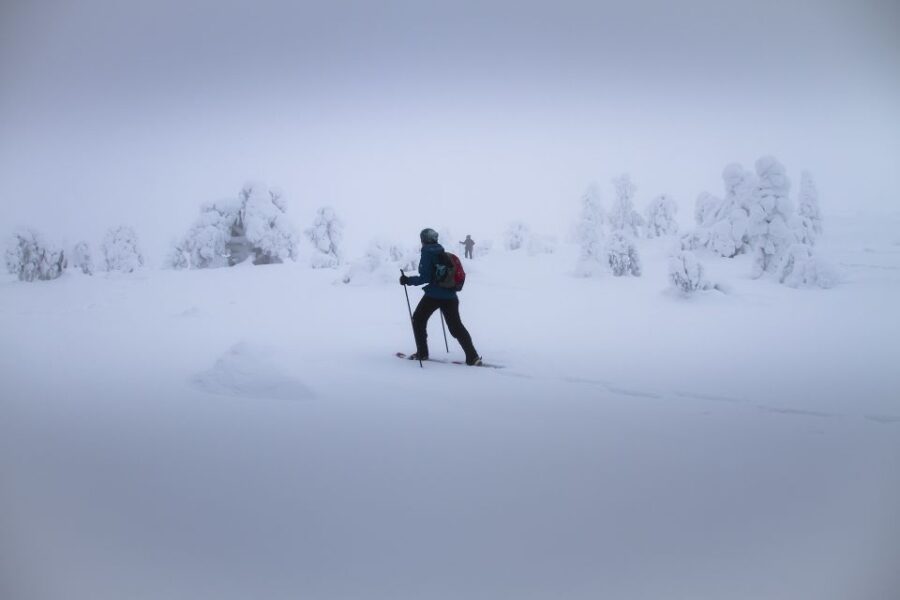 From Rovaniemi: Winter Wonderland Hike With a Hot Drink - Booking Details