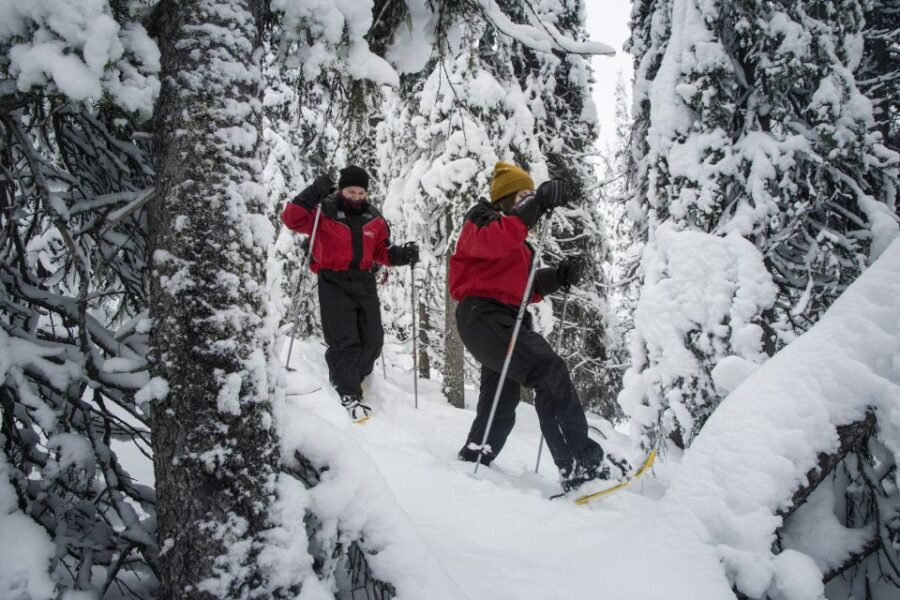 From Ruka: Snowshoeing in Oulanka National Park
