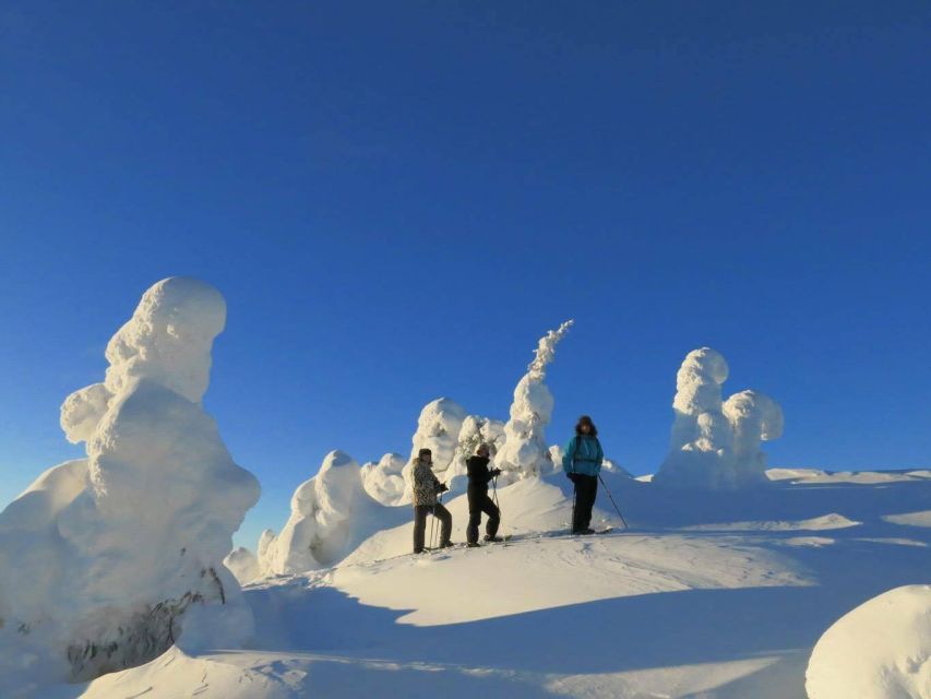 From Ruka: Snowshoeing in Riisitunturi National Park
