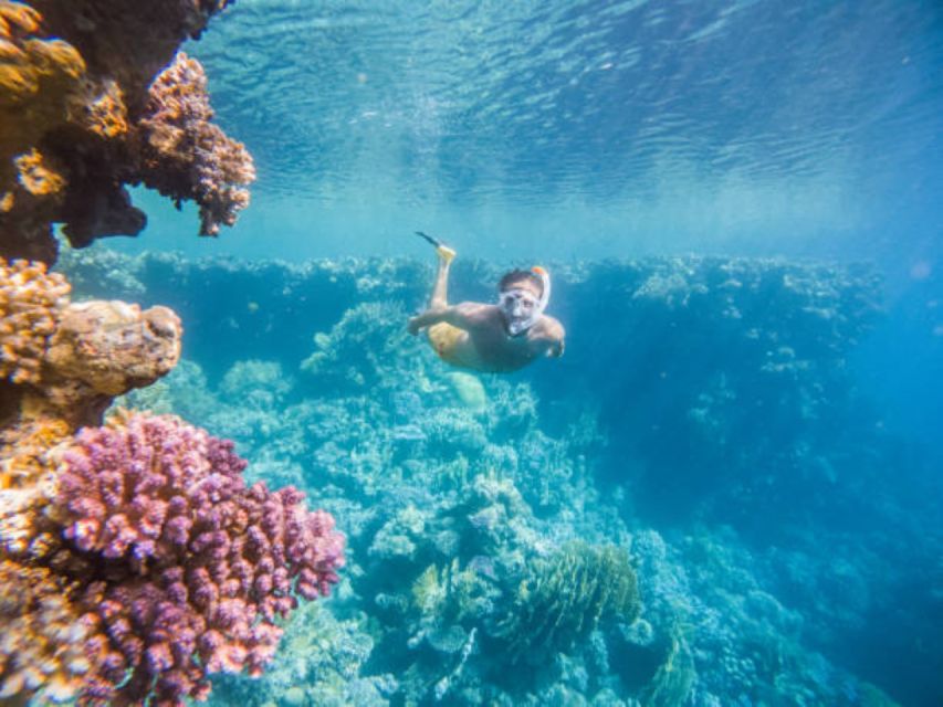 From Safaga: Diving & Snorkeling Trip 2 Spots With Lunch