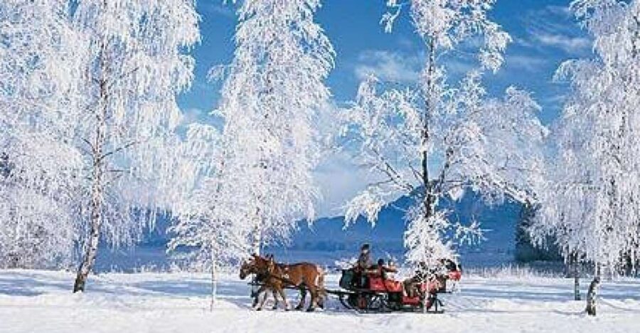 From Salzburg: Romantic Sleigh Ride Through the Countryside