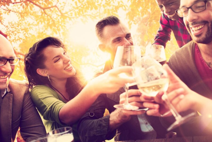 From San Francisco: Napa Valley & Sonoma Private Wine Tour - Tour Overview and Pricing