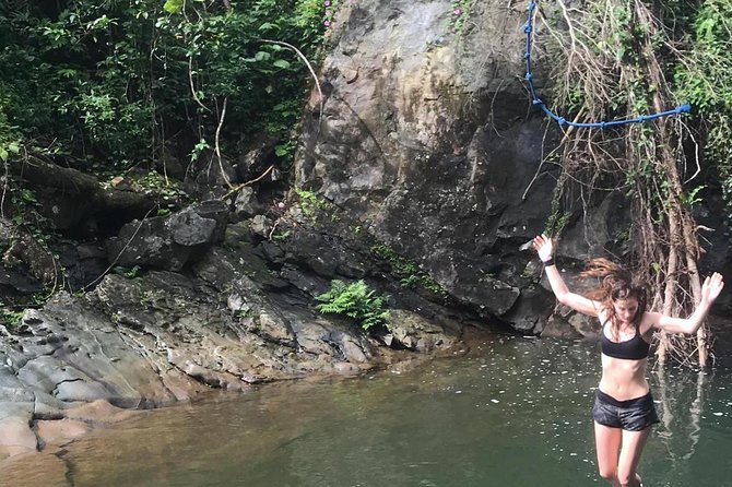 From San Juan: El Yunque Rainforest Hiking Adventure - Overview of the Rainforest Adventure