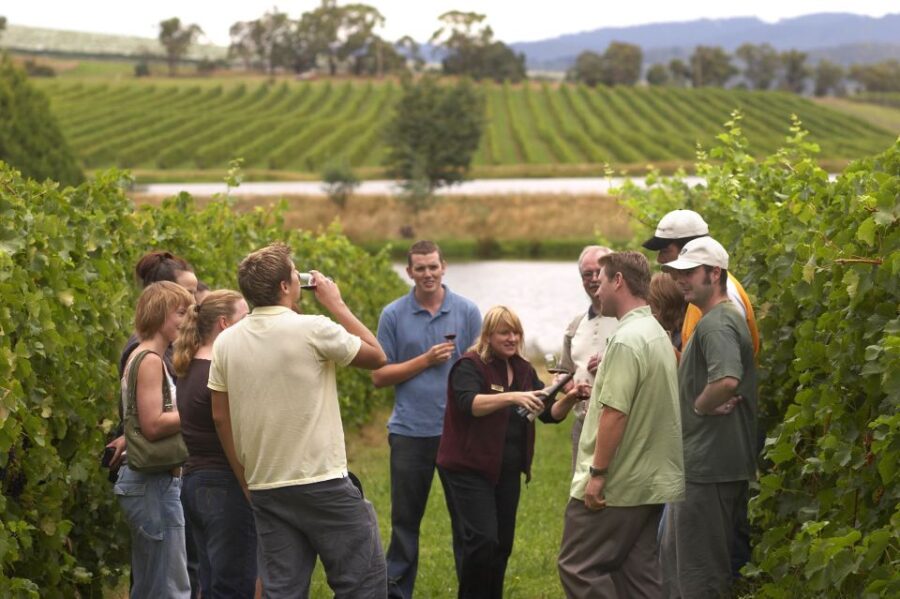 From San Sebastian/Bilbao/Vitoria: Rioja Wine Tour With Lunch