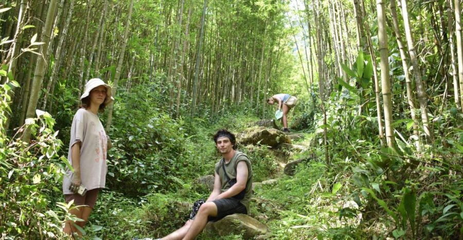 From Sapa: 2D1N Sapa Trekking Tour With Local Expert