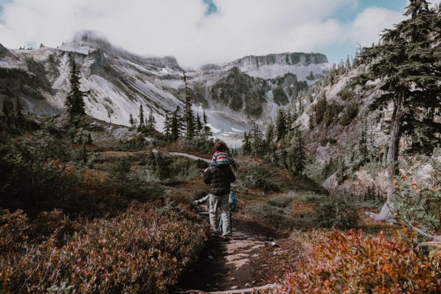From Seattle – Enchanting Mt Baker & Cascade Mountains Tours