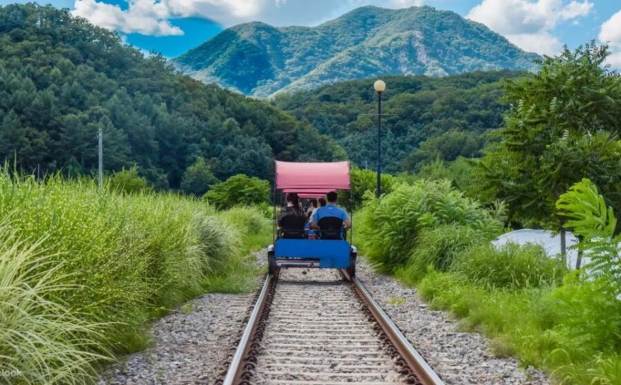 From Seoul: Nami Island, Korean Garden & Rail Bike Day Trip