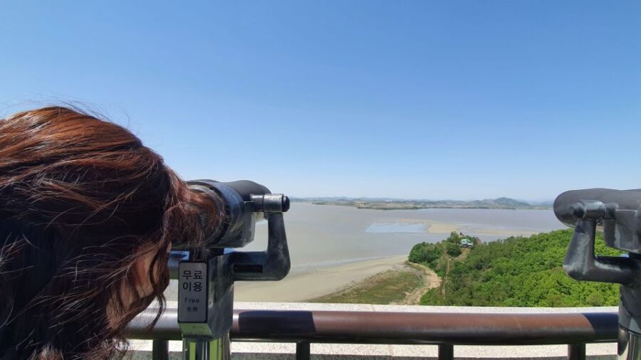 From Seoul: Private DMZ and Odusan Observatory Full-Day Tour