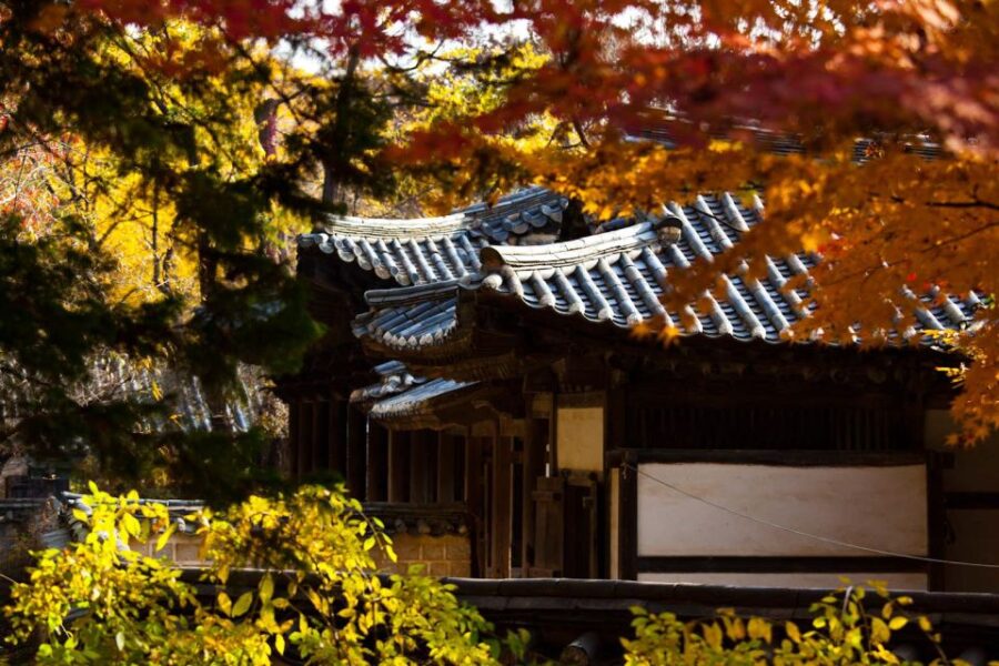 From Seoul: Suwon Hwaseong Fortress & Folk Village Day Tour