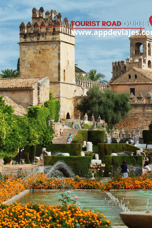 From Seville: Complete Tour Private of Cordoba