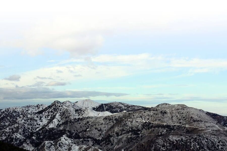 From Sierra Nevada ; Private Transfer to Granada City