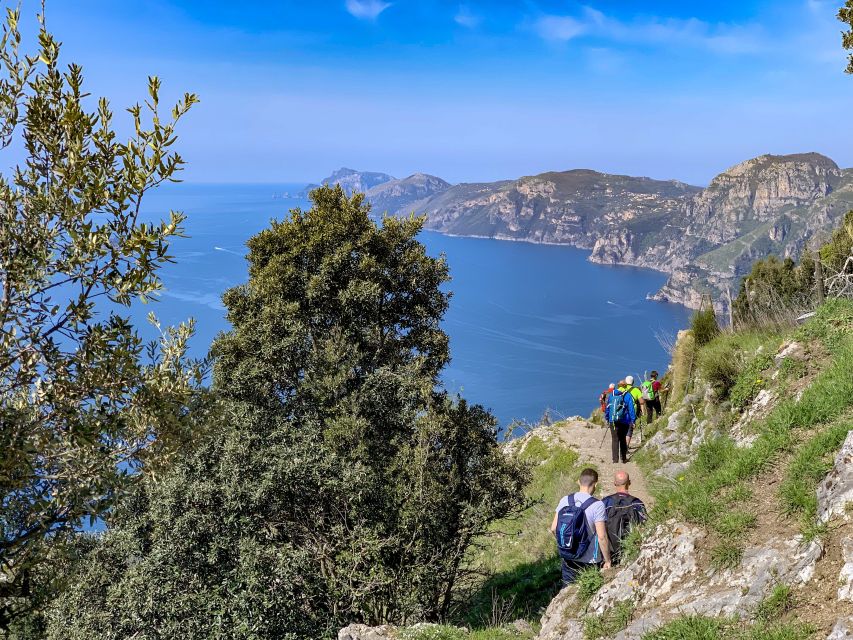 From Sorrento: Path of the Gods Hiking Experience - Activity Overview