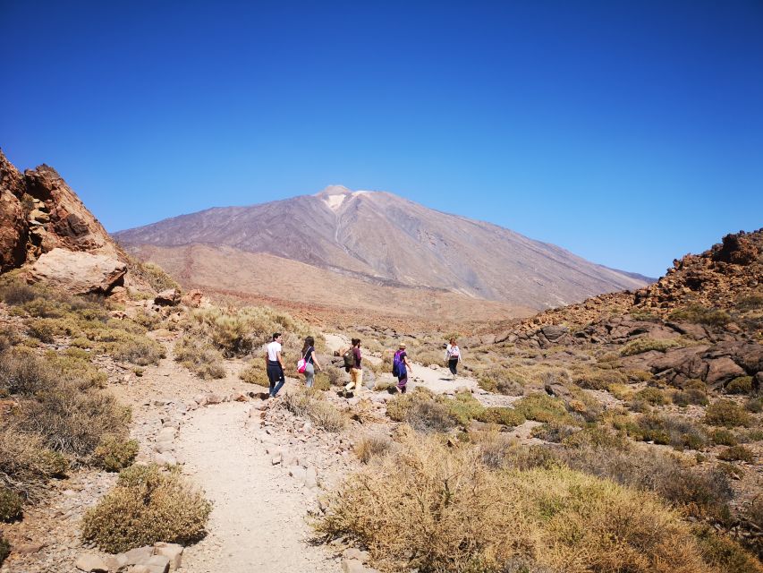 From South Tenerife: Teide National Park Tour