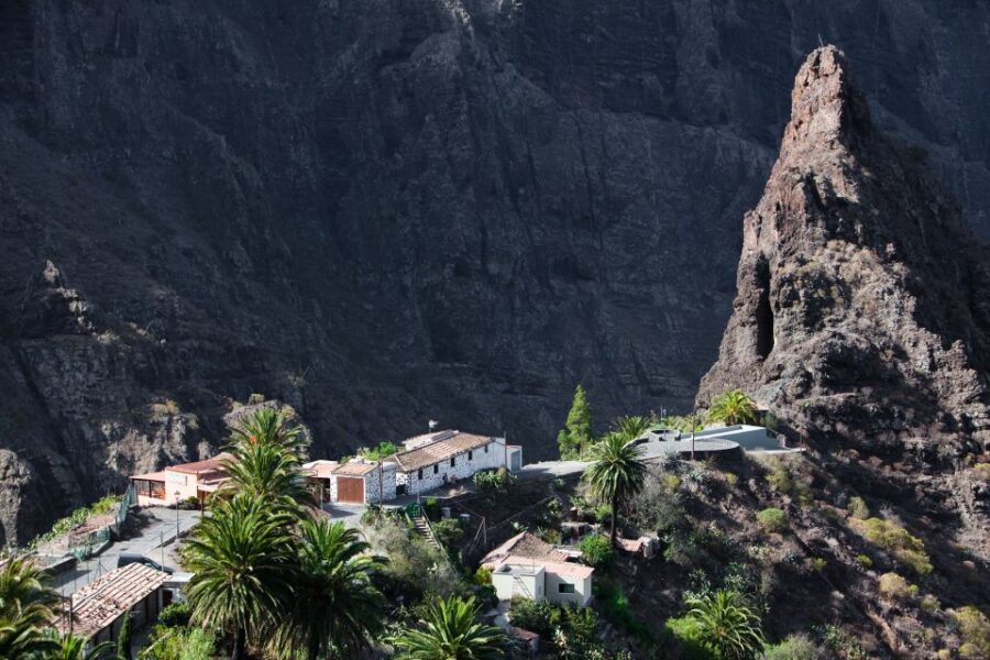 From South Tenerife: VIP Gran Tour Tenerife Island