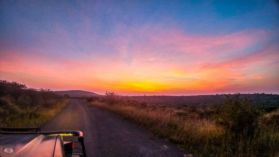 From St Lucia: Isimangaliso Sunset Safari - World Heritage Site Exploration