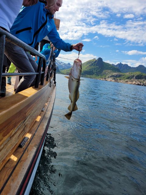 From Svolvaer: Lofoten Fishing Boat Cruise