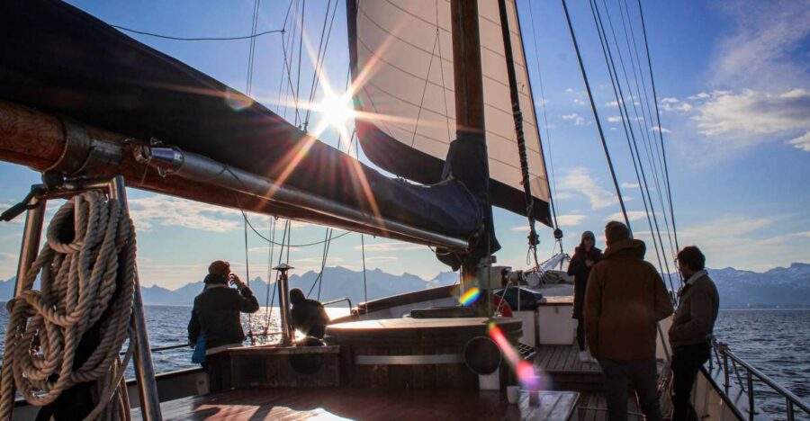 From Svolvær: Lofoten Islands Midnight Sun Luxury Sail