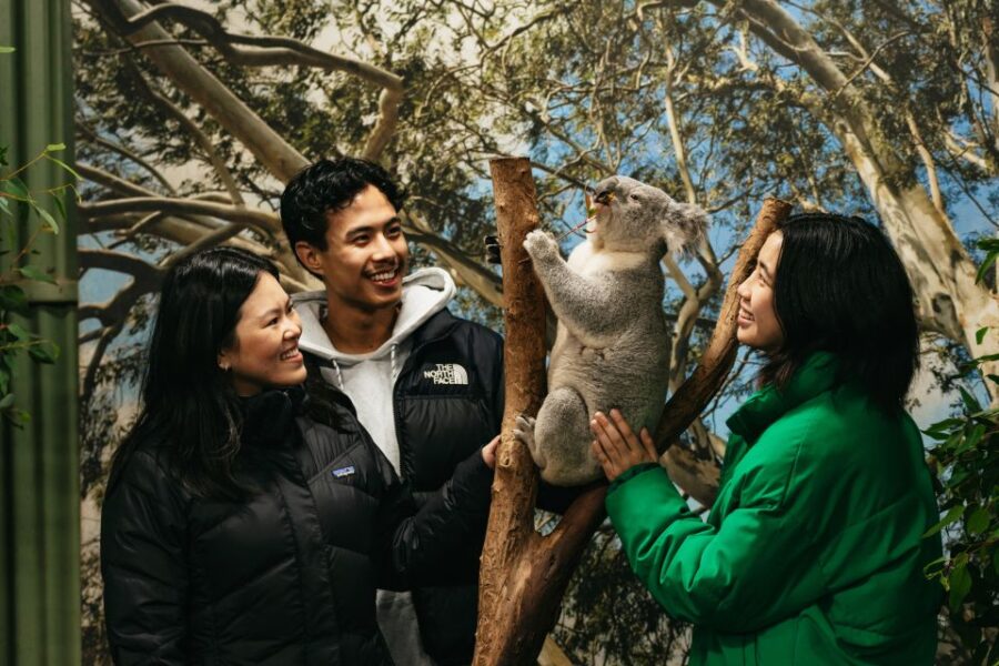 From Sydney: Blue Mountains Nature and Wildlife Tour