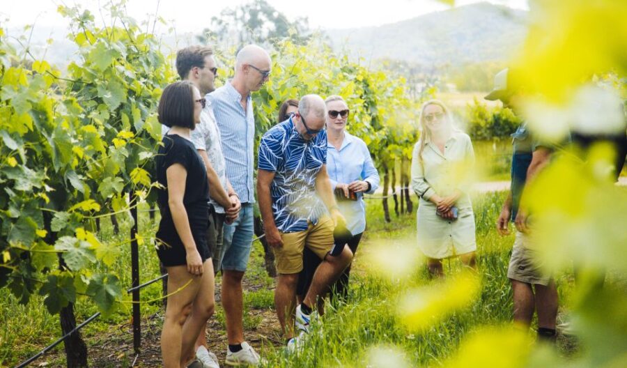 From Sydney: Hunter Valley Wine/Spirit Tasting Tour & Lunch