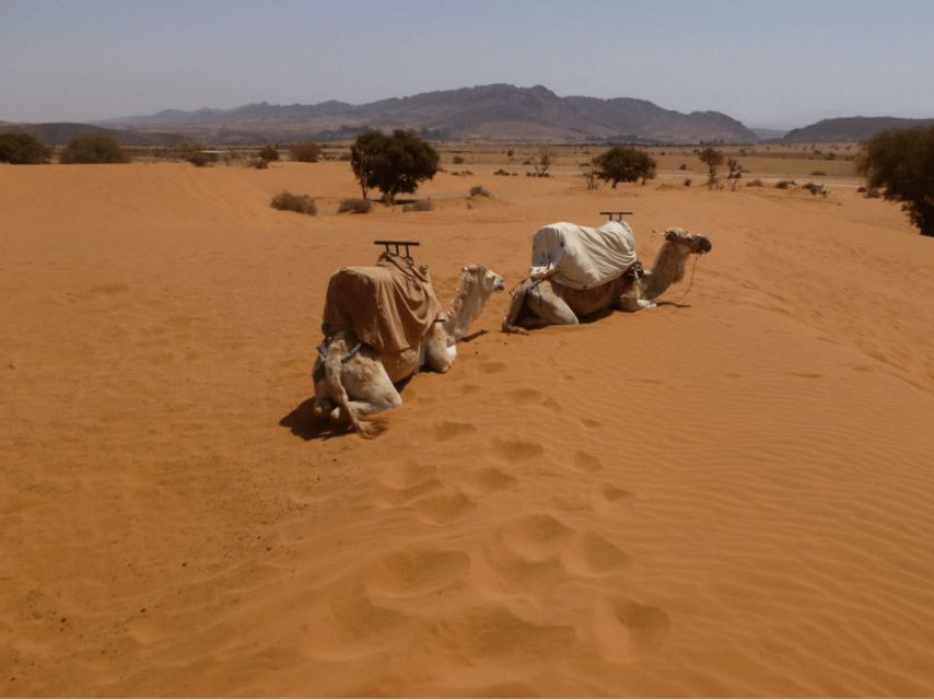 From Taghazout: Massa Desert and Tiznit Visit With Lunch