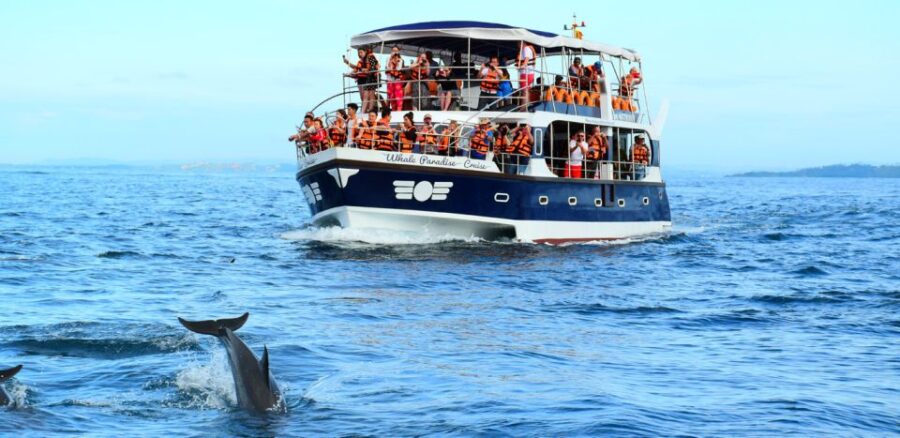 From Tangalle: Mirissa Whale Watching Tour With Breakfast