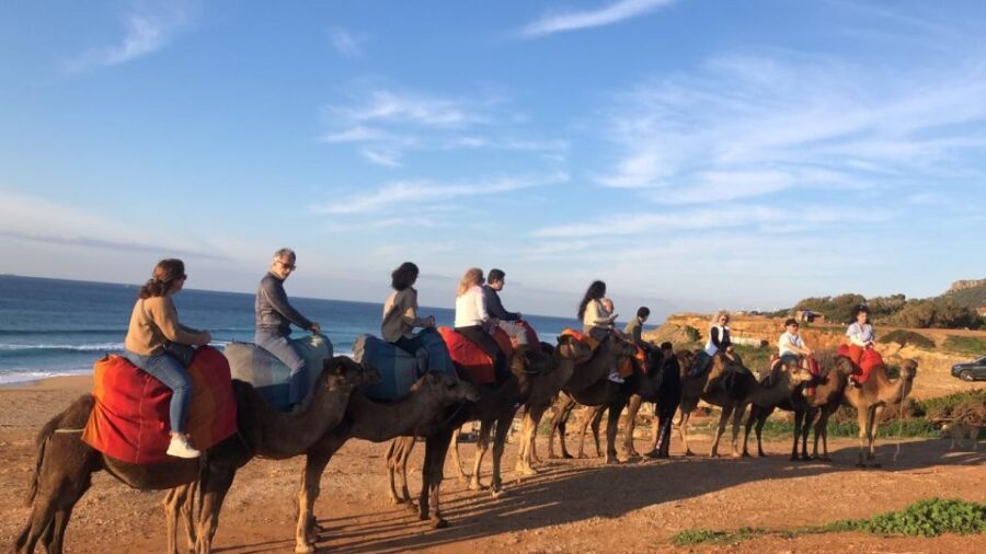 From Tarifa: Tangier Full Day Trip With Guide - Trip Overview