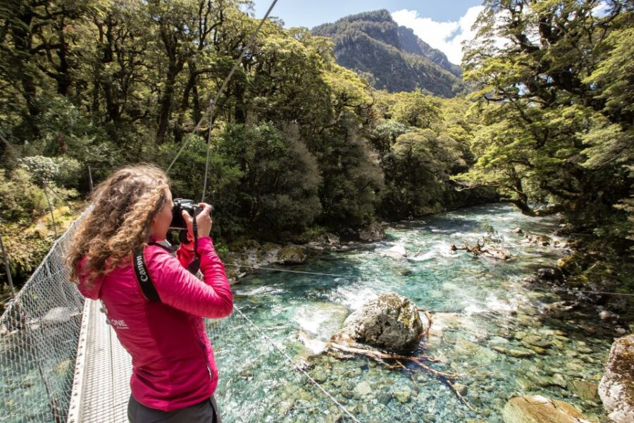 From Te Anau: Milford Sound Coach, Cruise, and Walks