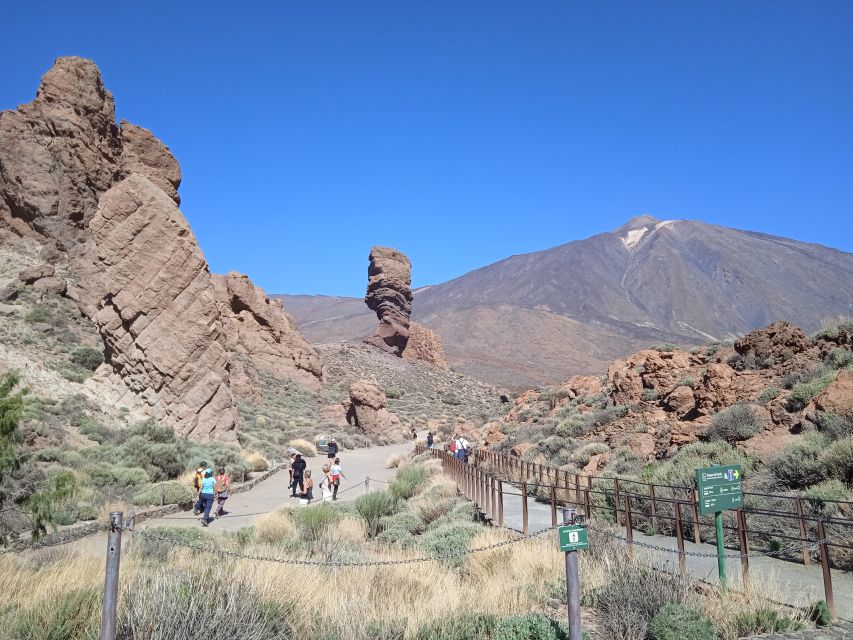 From Tenerife: Teide National Park Guided Day Trip by Bus