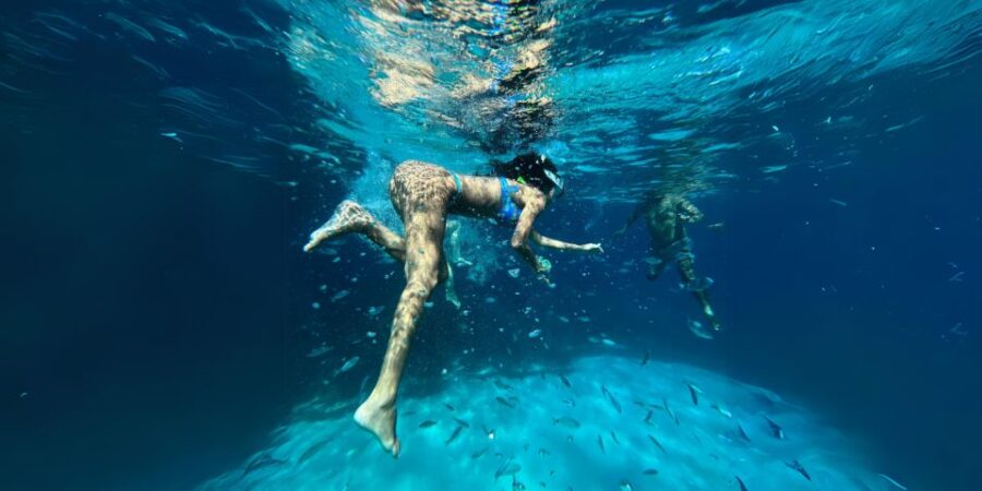 From Trapani: Favignana & Levanzo Luxury Private Boat Trip