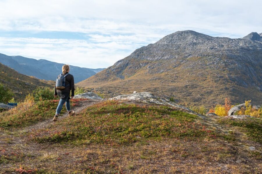 From Tromsø: Arctic Roadtrip Small Group 4×4 Van