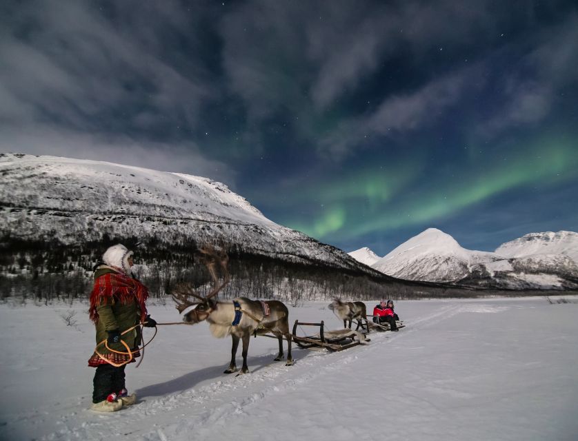 From Tromsø: Evening Reindeer Sledding at Camp Tamok - Overview and Pricing