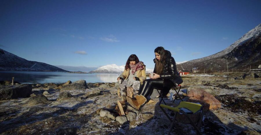 From Tromsø: Fjords Small Group Bus Tour
