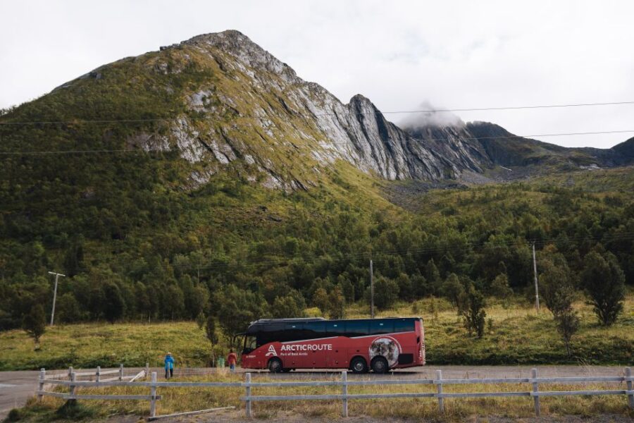 From Tromsø: Self-Guided Fjord Tour to Senja and Local Lunch - Tour Overview and Pricing