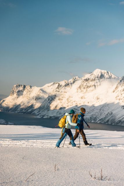 From Tromsø: Snowshoeing Hike With Picnic Lunch and Photos