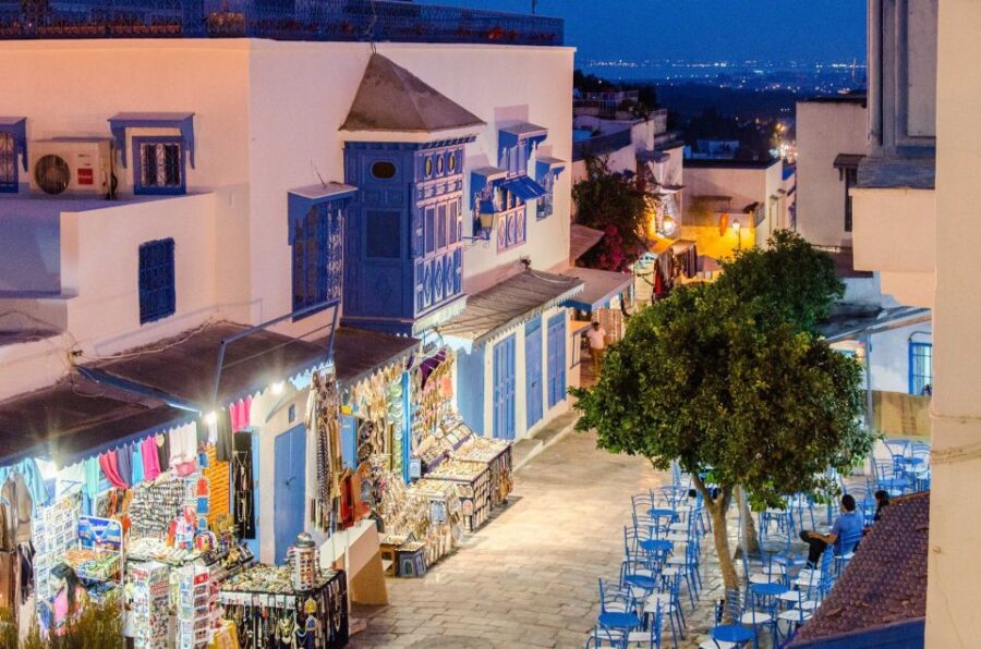 From Tun or Hammamet: Day Trip to Sidi Bou Said and Carthage