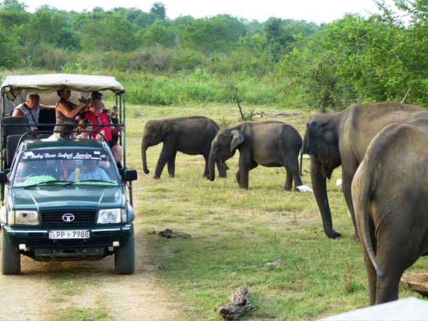 From Udawalawe: Safari at Udawalawe National Park - Unforgettable Udawalawe Safari Experience