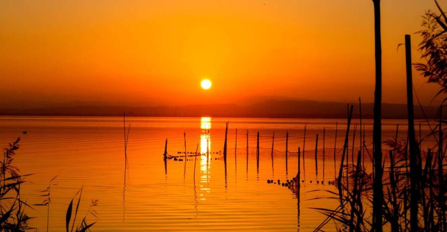 From Valencia: Albufera Natural Park With Sunset Boat Tour