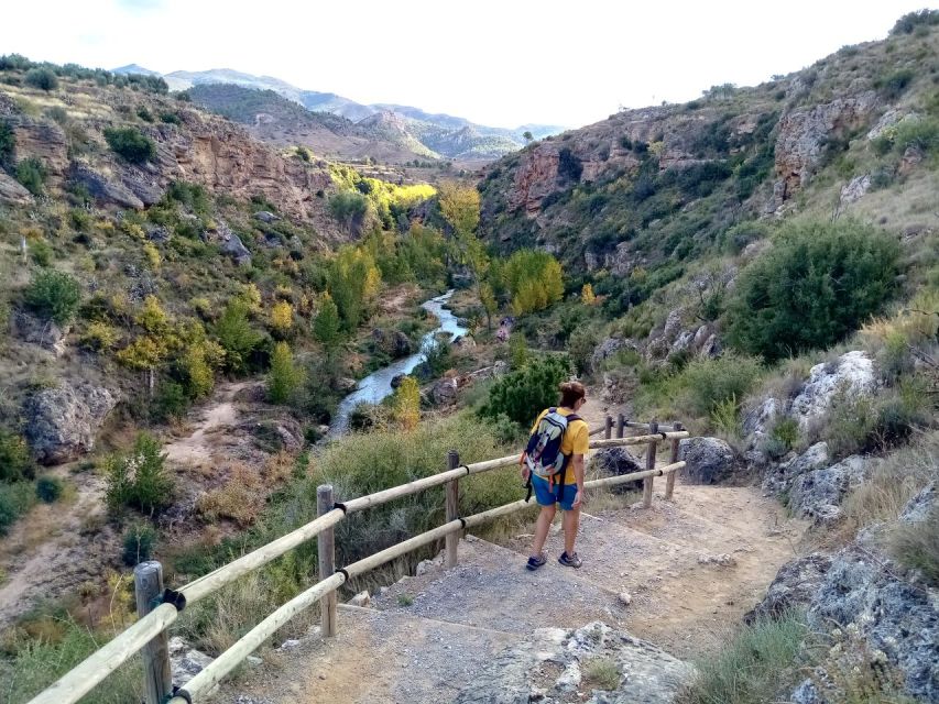 From Valencia: Peña Cortada Aqueduct Hiking Day Tour
