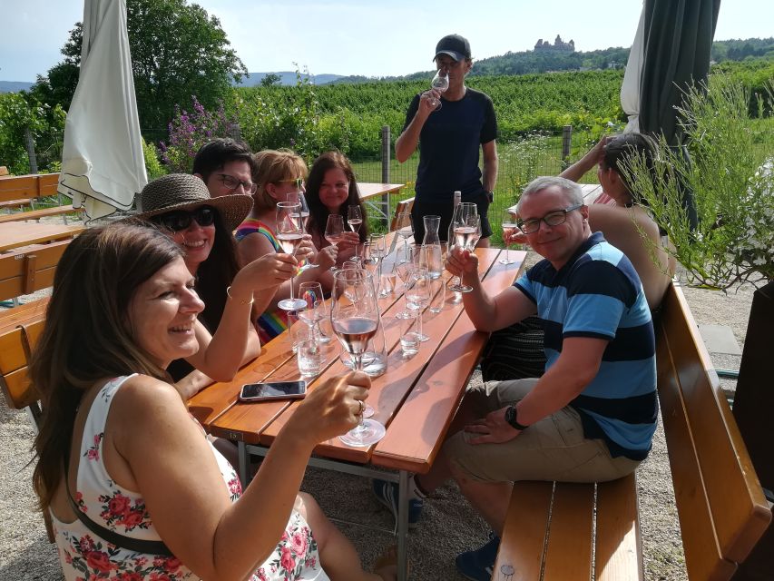 From Vienna: Half-Day Countryside Wine Tour With Meal