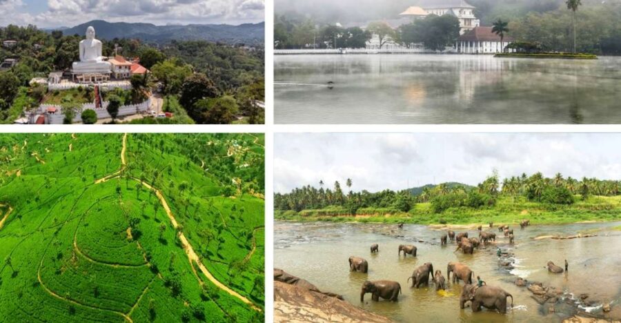 From West Coast: Kandy, Pinnawala, Botanical & Tea Gardens