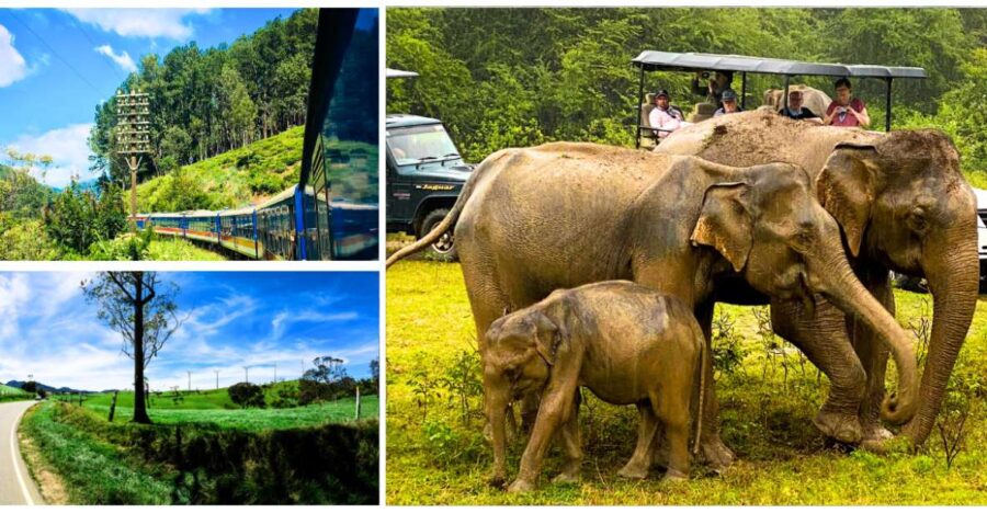 From Western Province: 2-Day Hill Country Highlights Trip