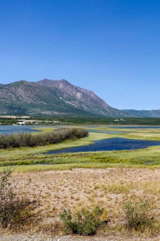From Whitehorse: Skagway Day-Trip