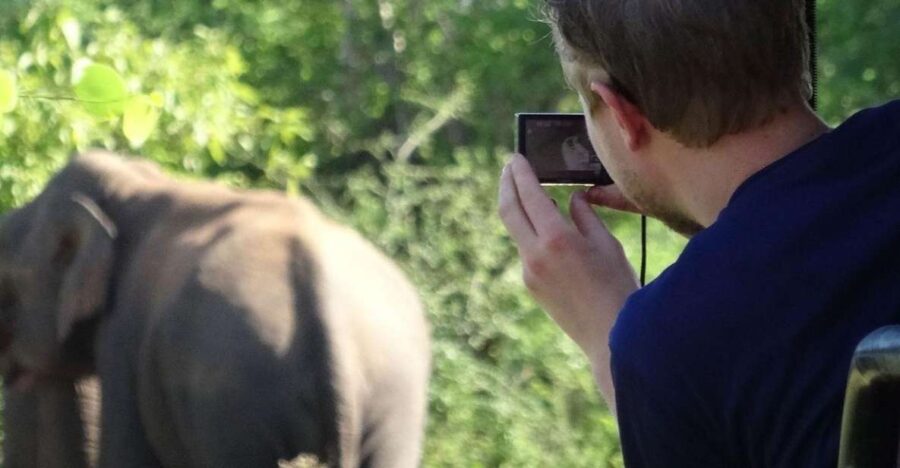 From Yala: Full-Day Private Leopard Safari With Lunch