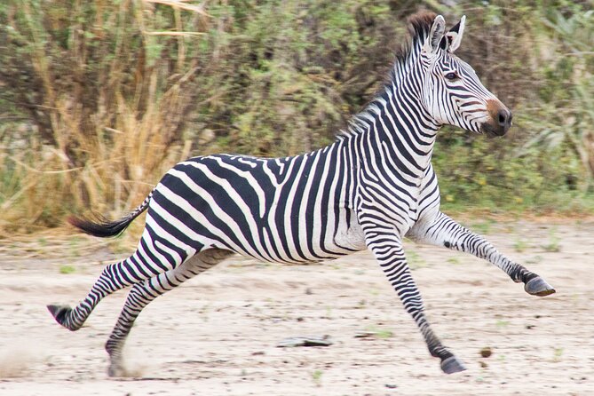 3 Best Safari Tours In Morogoro Region