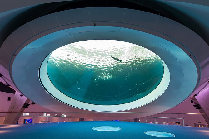 Frost Science Museum Admission Tickets - Visitor Information