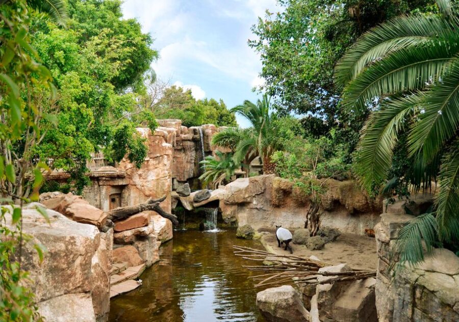Fuengirola: Bioparc Entrance Ticket